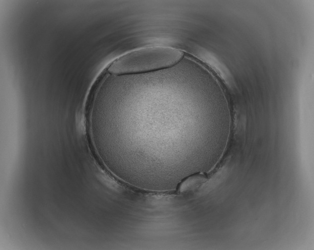 X0000112380924200908201519