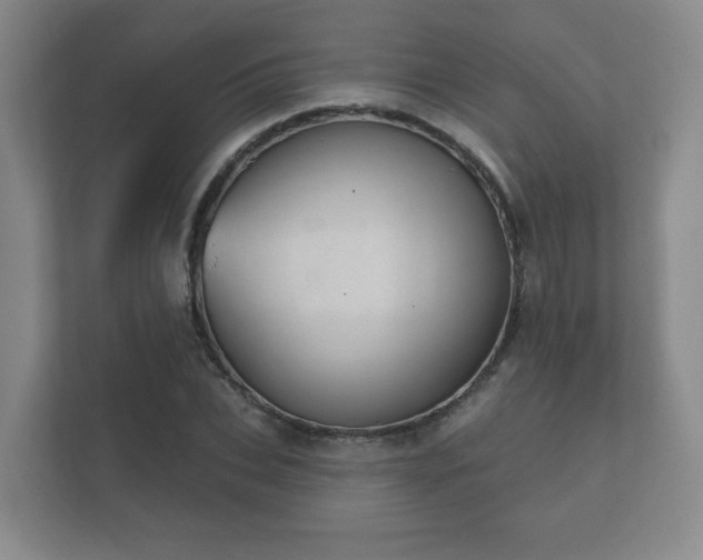 X0000112380927200908201519