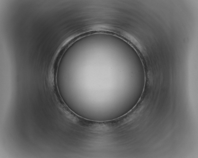 X0000112380931200908201519