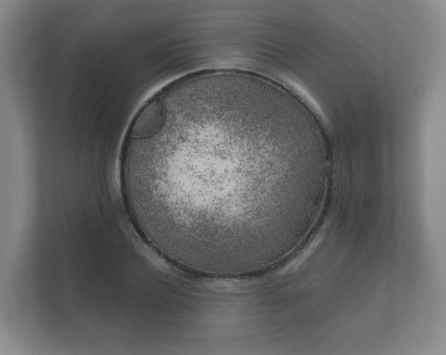 X0000112380932200908201519