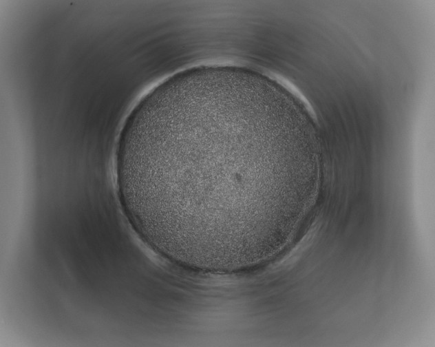 X0000112380935200908201519