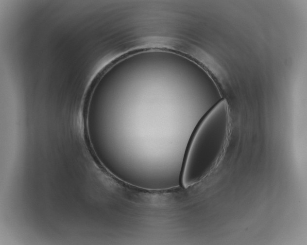 X0000112380936200908201519