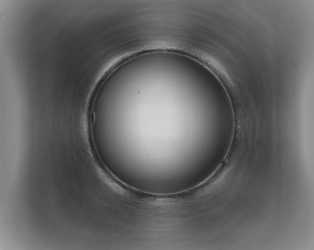 X0000112380942200908201519