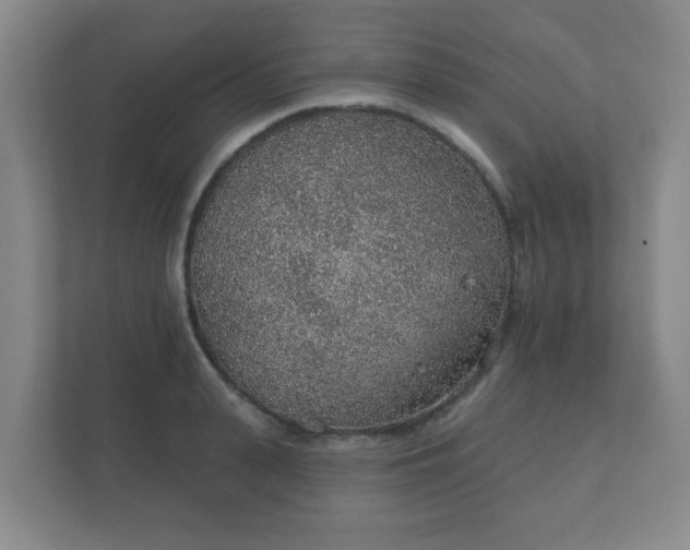 X0000112380943200908201519