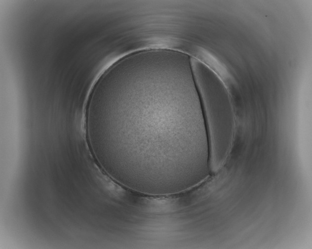 X0000112380948200908201519