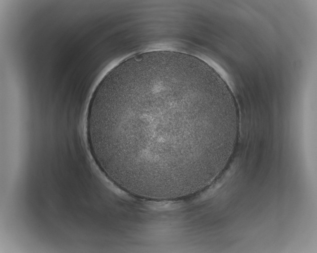 X0000112380949200908201519