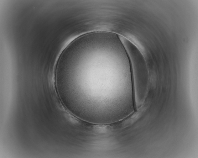 X0000112380956200908201519