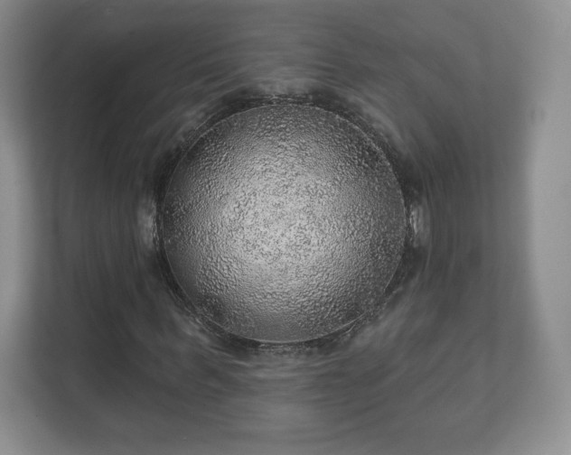 X0000112380963200908201519