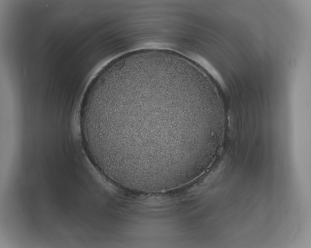 X0000112380972200908201519