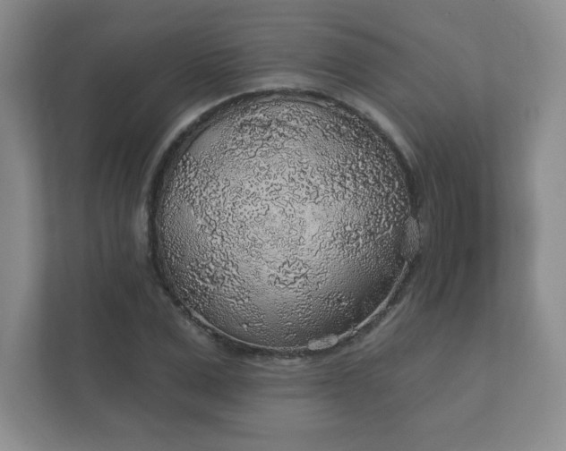 X0000112380975200908201519