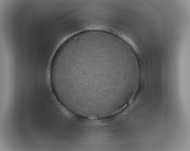 X0000112380976200908201519