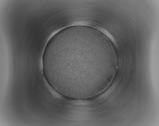 X0000112380980200908201519