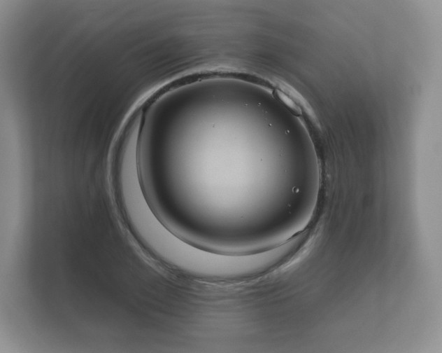 X0000112380981200908201519