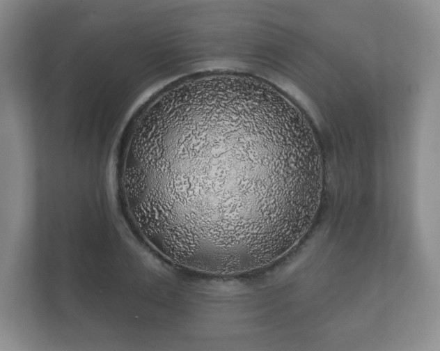 X0000112380983200908201519