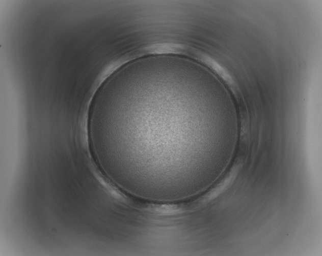 X0000112380986200908201519