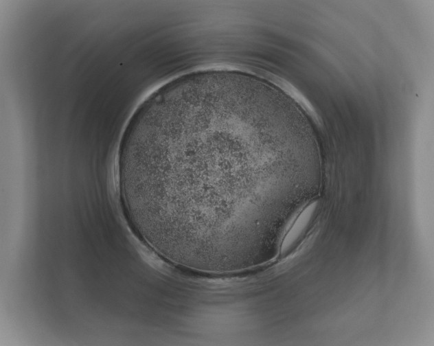 X0000112380988200908201518