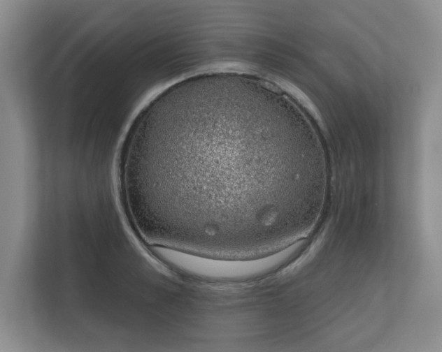 X0000112380989200908201518