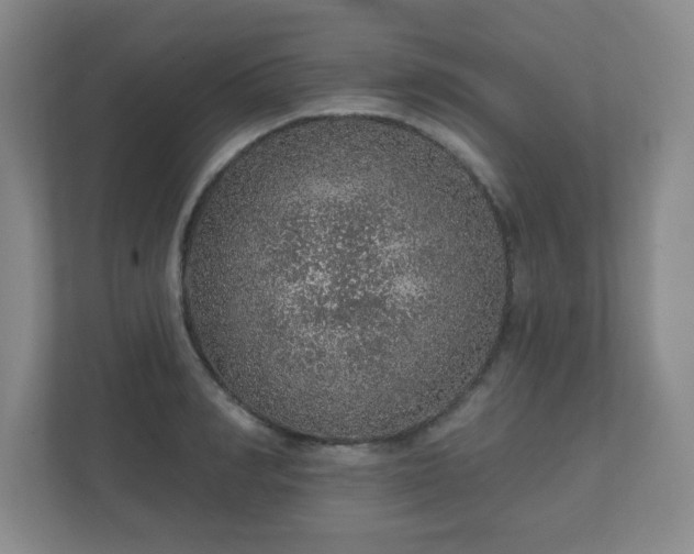 X0000112380990200908201518