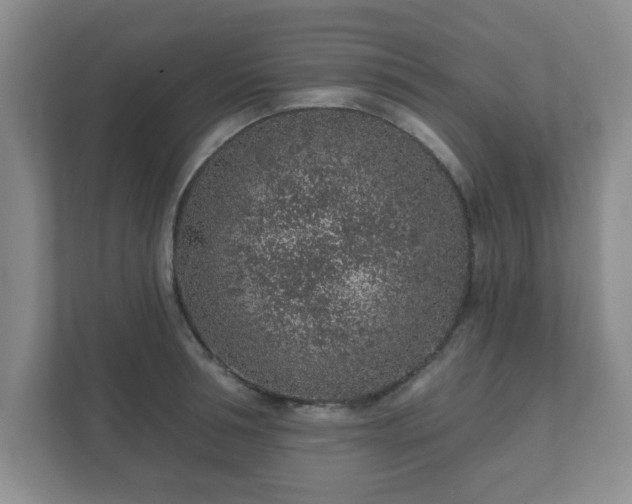 X0000112380994200908201518