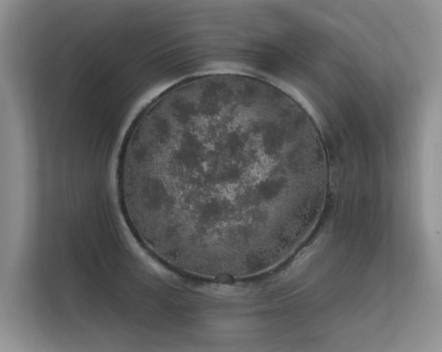 X0000112380995200908201518