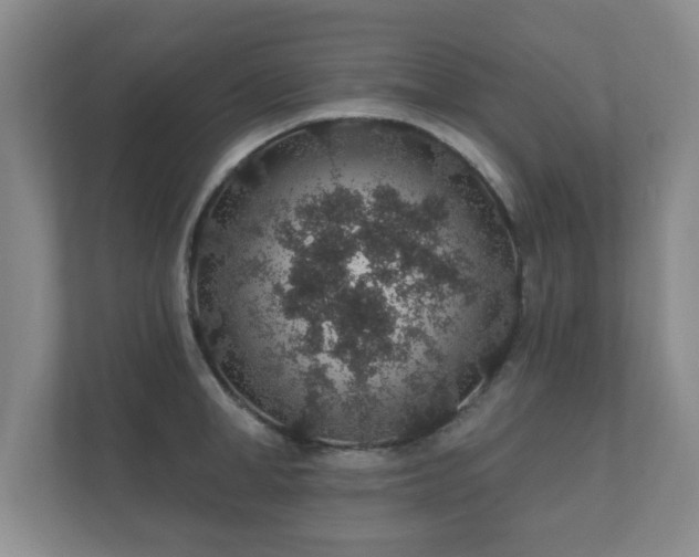 X0000112380998200908201518