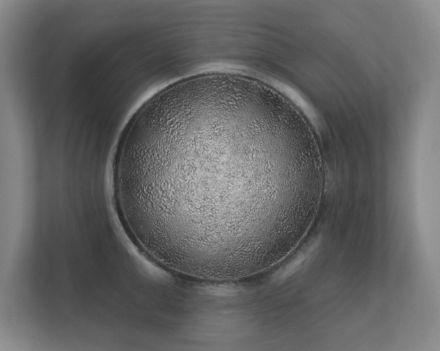 X0000112380999200908201518