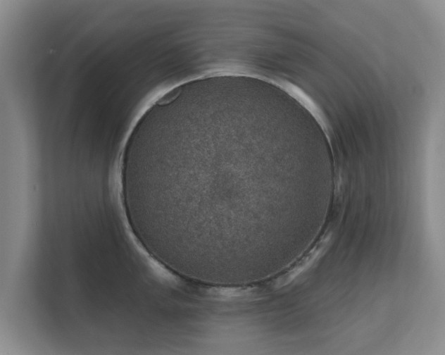 X0000112381005200908201518