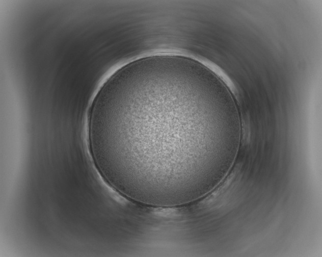 X0000112381006200908201518