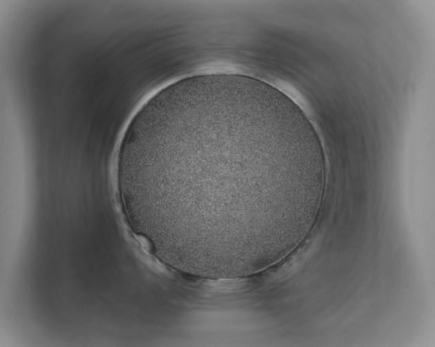 X0000112381008200908201518