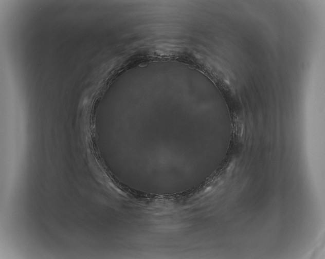 X0000112381009200908201518