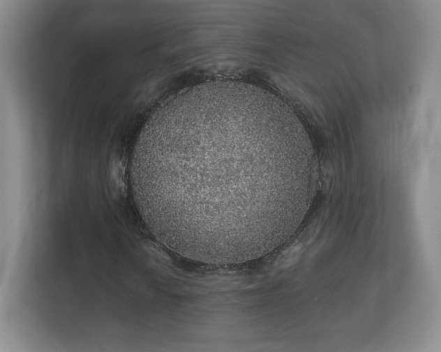 X0000112381010200908201518