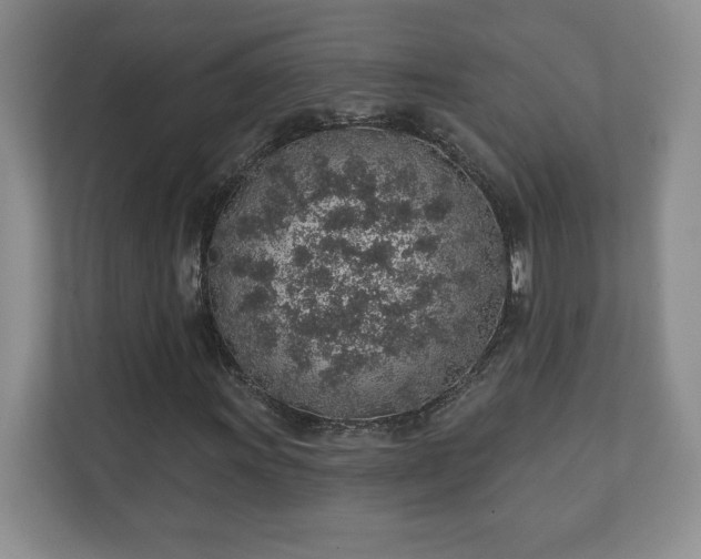 X0000112381011200908201518