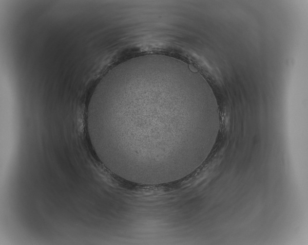 X0000112381012200908201518