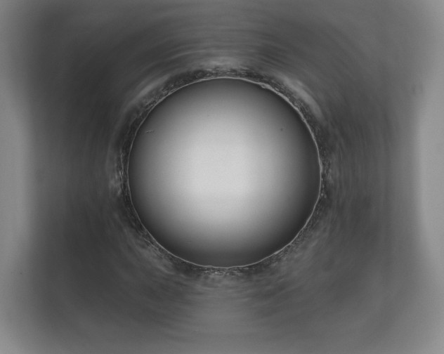 X0000112381015200908201518