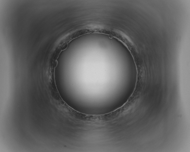 X0000112381016200908201518