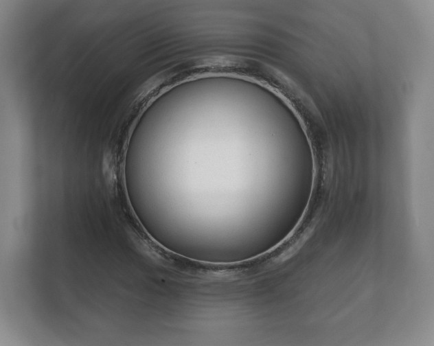 X0000112381017200908201518