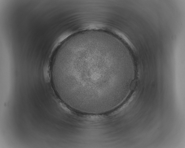 X0000112381018200908201518