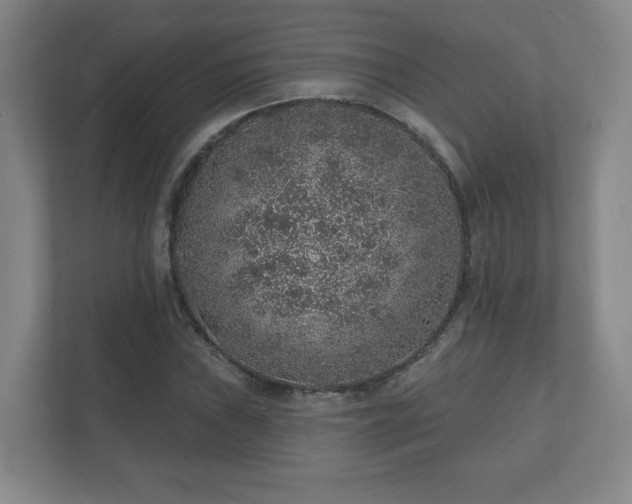 X0000112381019200908201518