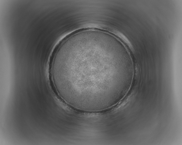 X0000112381020200908201518