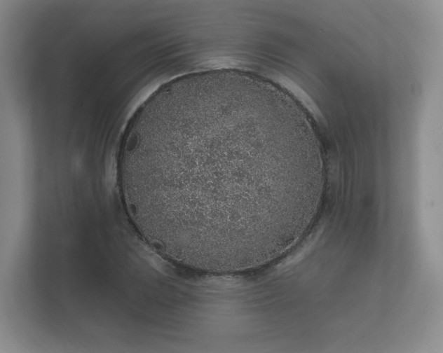 X0000112381023200908201518