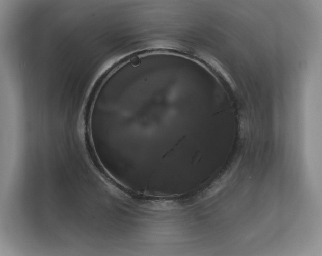 X0000112381024200908201518