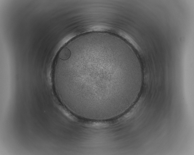 X0000112381026200908201518