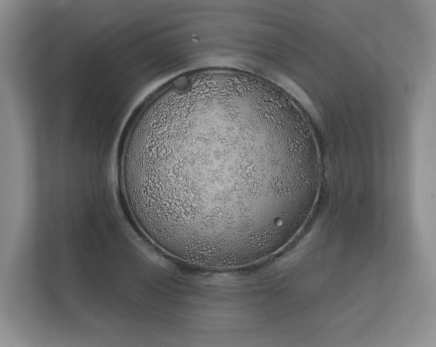 X0000112381028200908201518