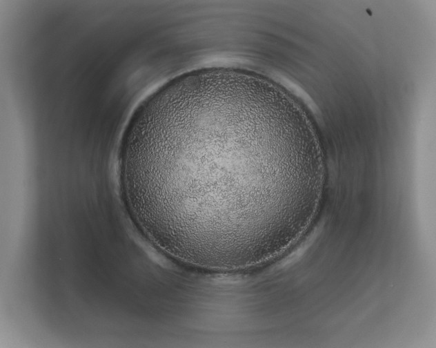 X0000112381029200908201518