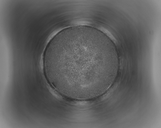 X0000112381031200908201518