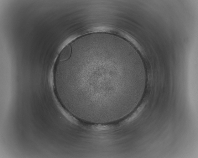 X0000112381034200908201518