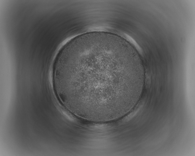 X0000112381035200908201518