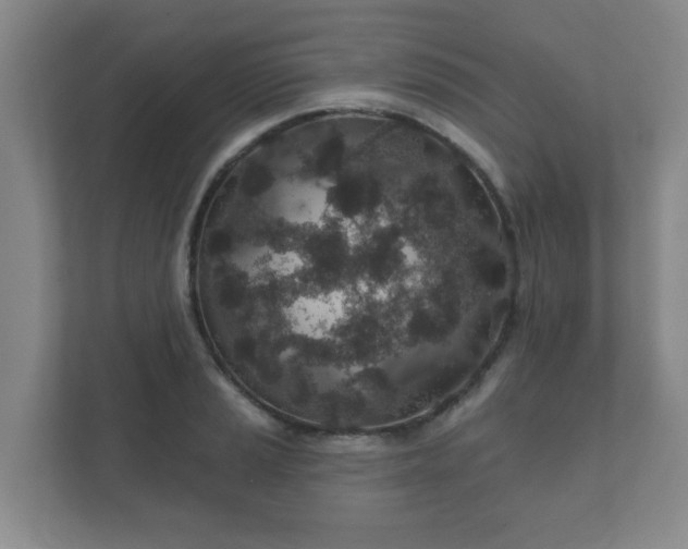 X0000112381037200908201518