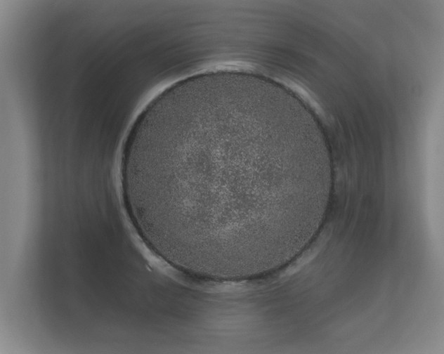 X0000112381038200908201518