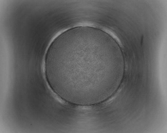 X0000112381040200908201518